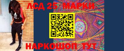 гашик Славянск-на-Кубани