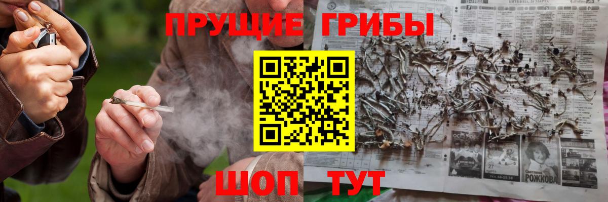 Обнинск  Псилоцибиновые грибы ЛСД  Вход с VPN 